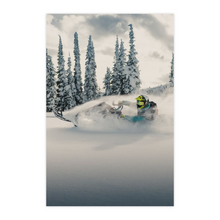 Load image into Gallery viewer, PremiumMountedPrint-20x30-20250825203635226
